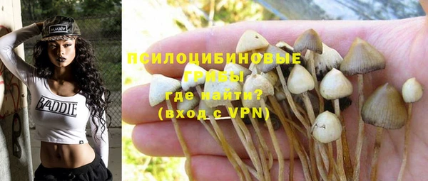 наркотики Новодвинск