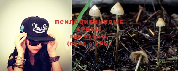 наркотики Новодвинск