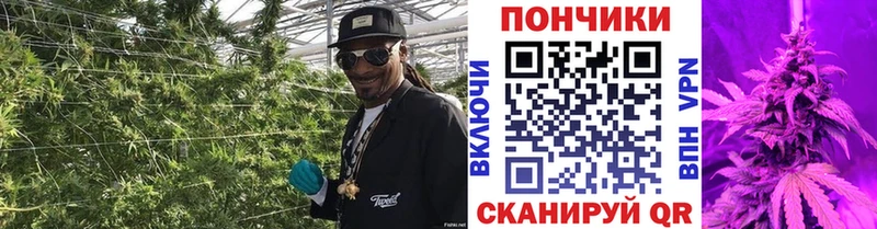 Конопля MAZAR  Суоярви 